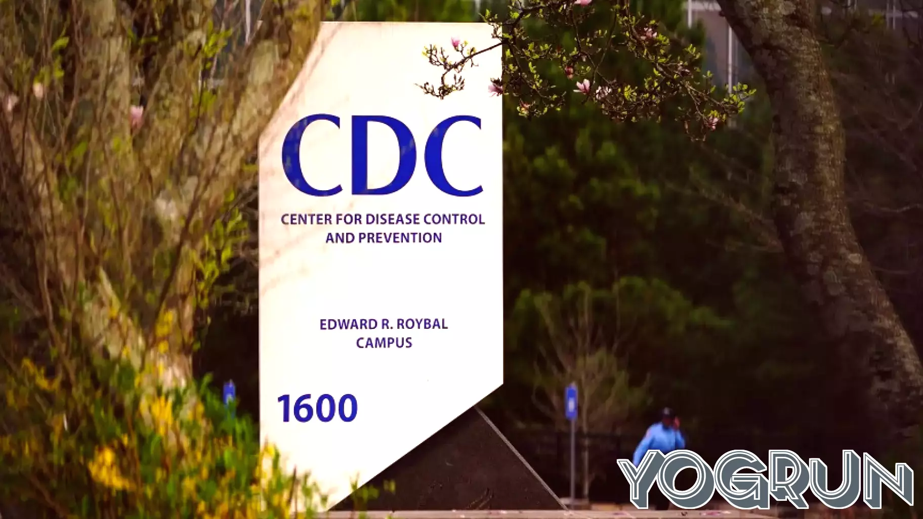 Major Workforce Reductions at CDC Amid Administration Cuts